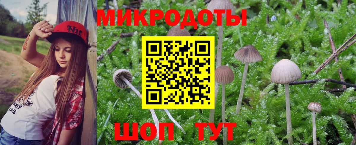 Галлюциногенные грибы Magic Shrooms Мыски