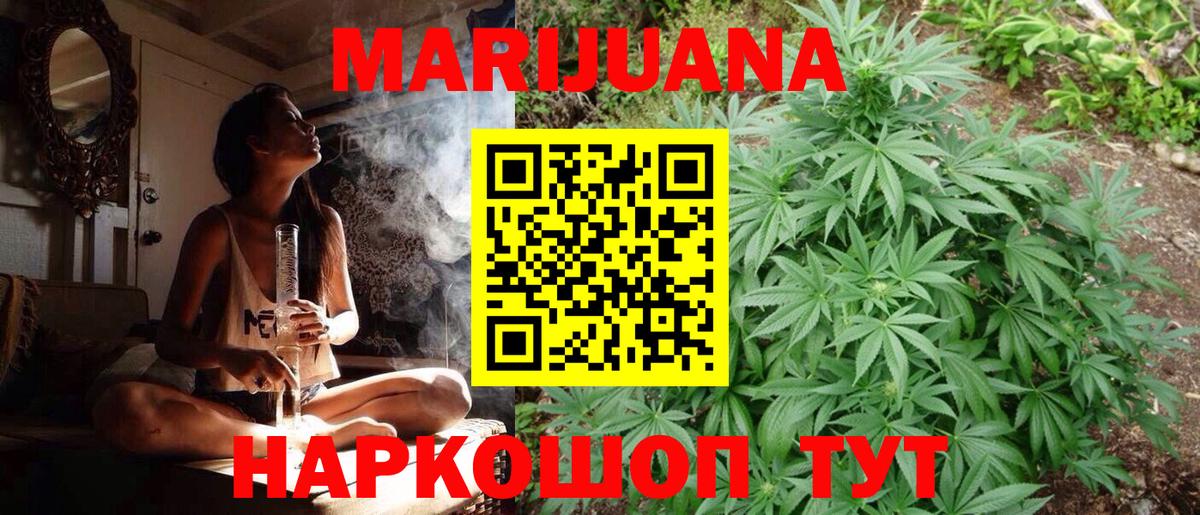 Марихуана Bruce Banner  Каннабис планчик  Канабис Ganja  Бошки марихуана VHQ  Мыски  Вход с VPN 